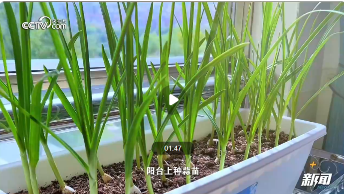 关于春耕这件事，中国人有多认真